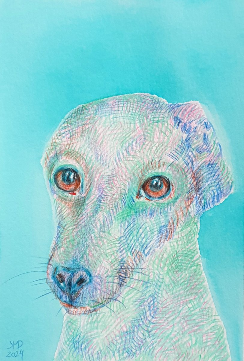 Whippet portrait by Ksenia June