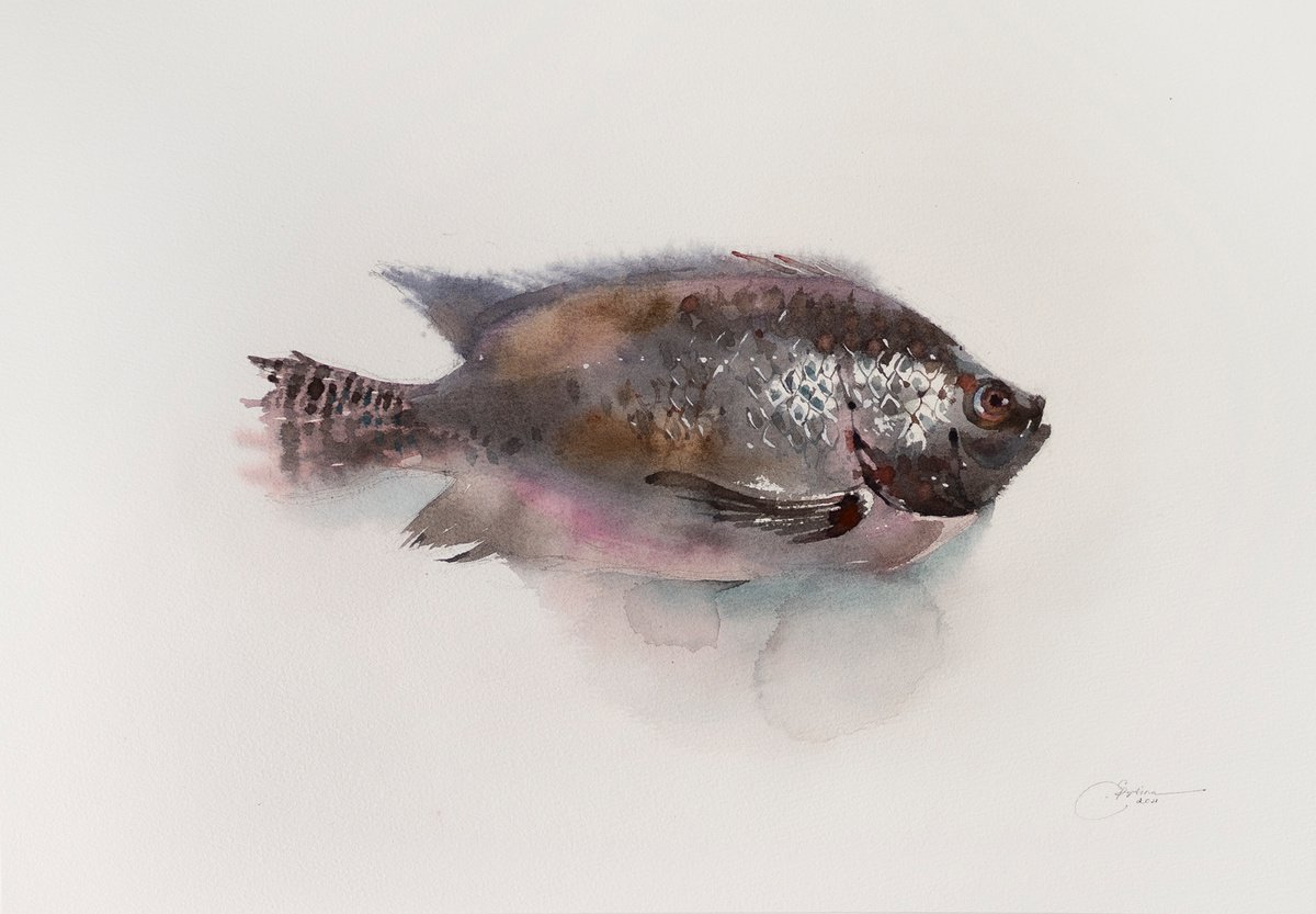 Fish by Ekaterina Pytina
