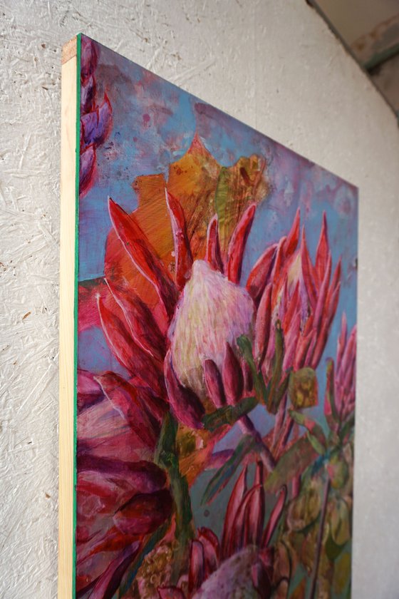 Protea Symphony II.
