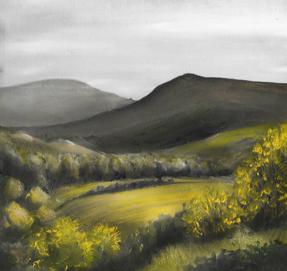 Expressive Oil Painting , Landscape / Hills I By Gozde Temiz Istanbul, 12 X 12, Artwork For Sale On Artfinder