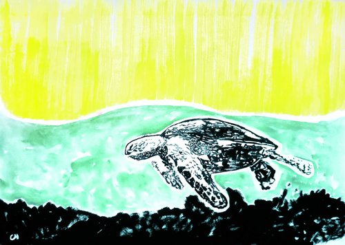 Sea turtle. by Marat Cherny