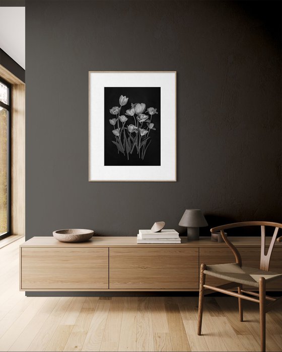 Tulips, Black and white flowers