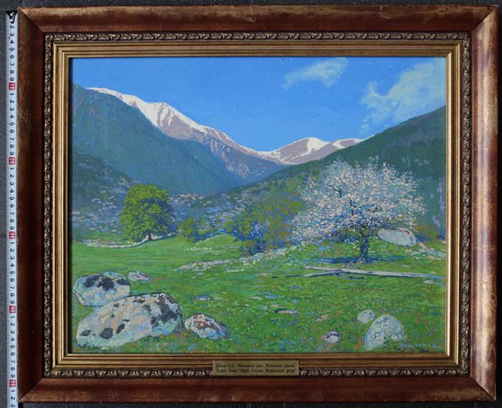 Apple blossom in gorge