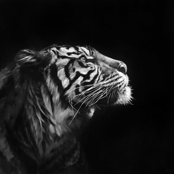 Oil painting with tiger "Courage" 90*90 cm