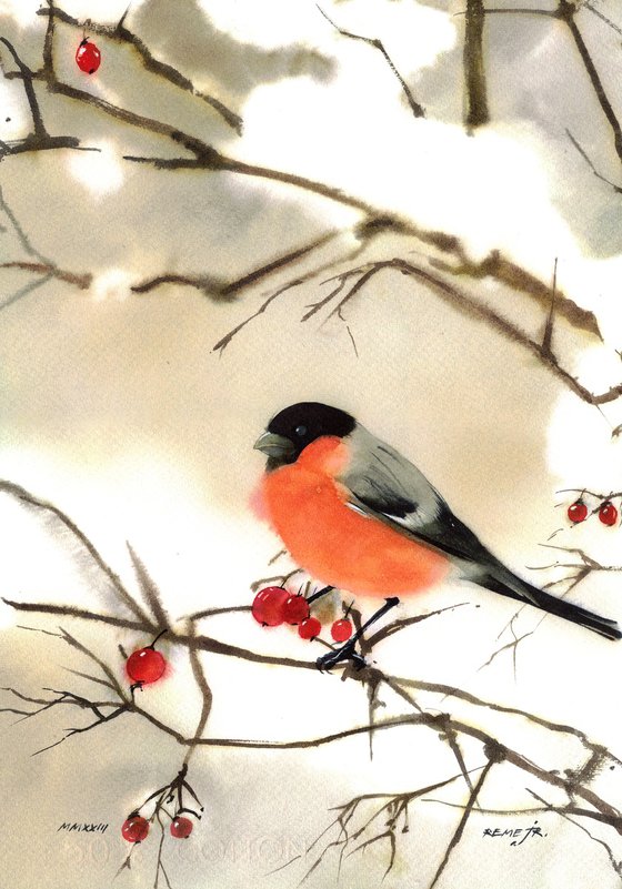 Bullfinch