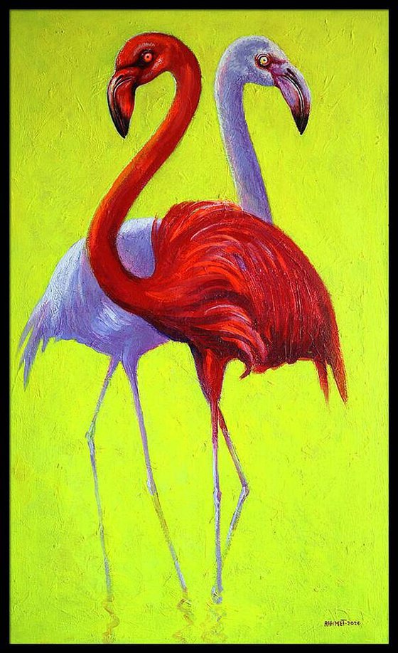 Flamingo 2