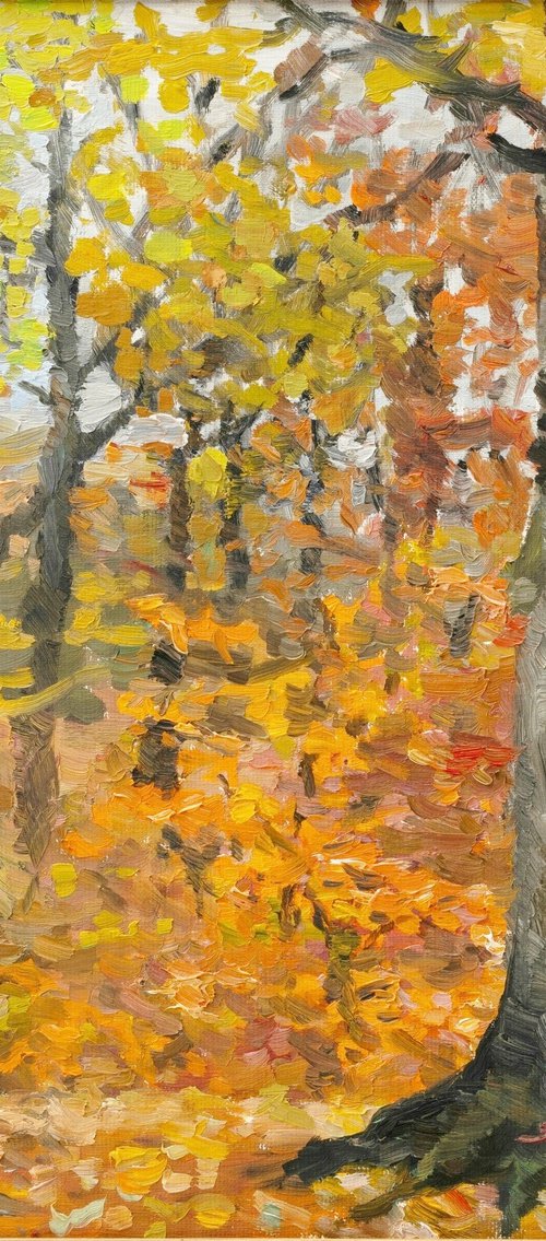 Autumn by Lia Chechelashvili