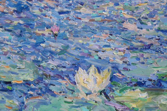 "Water Lilies "