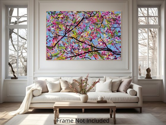 Pink Jacaranda