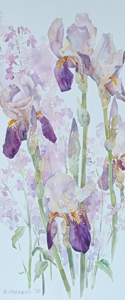 Purple irises with night violets / ORIGINAL watercolor 15x22 (38x56cm) by Olha Malko