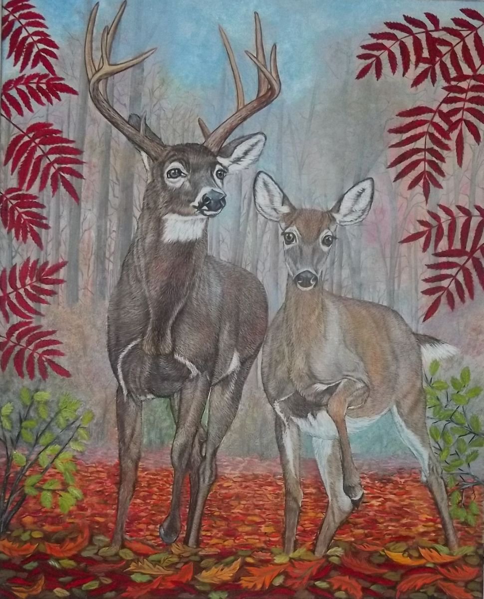 Careful steps, White tailed Deer, Buck and Doe by Sofya Mikeworth