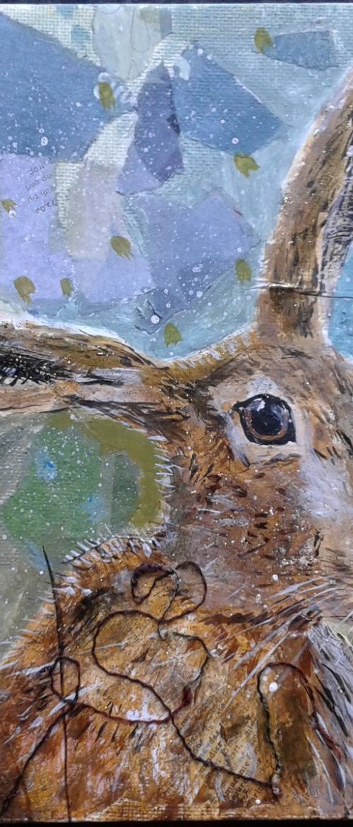 Hare in poppy field by Fiona Plaisted