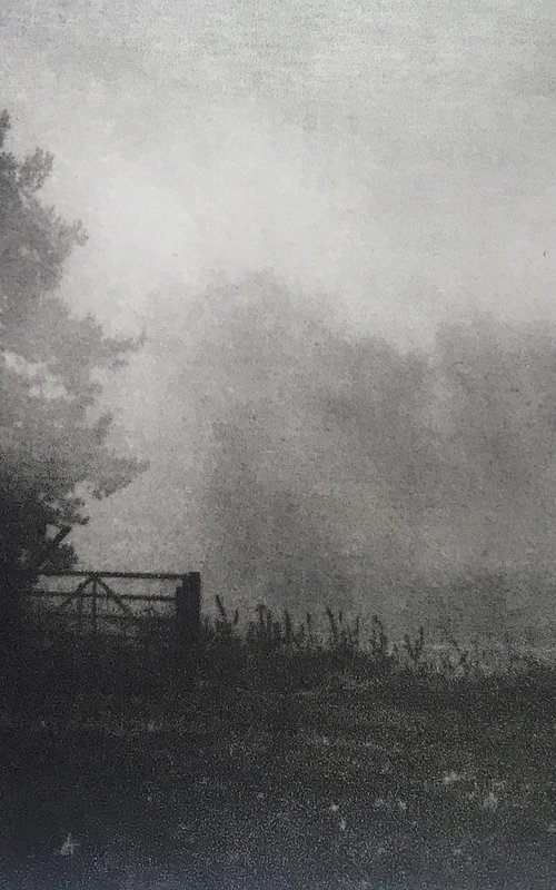 Misty Meadow by Tricia Newell