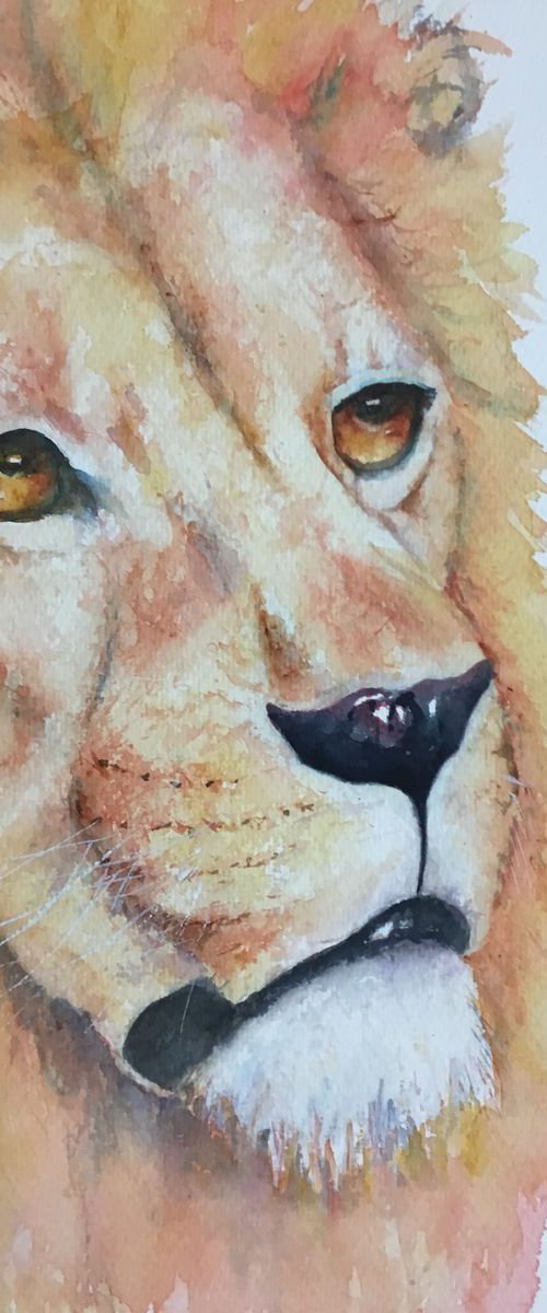 Portrait of a lion by Sabrina’s Art