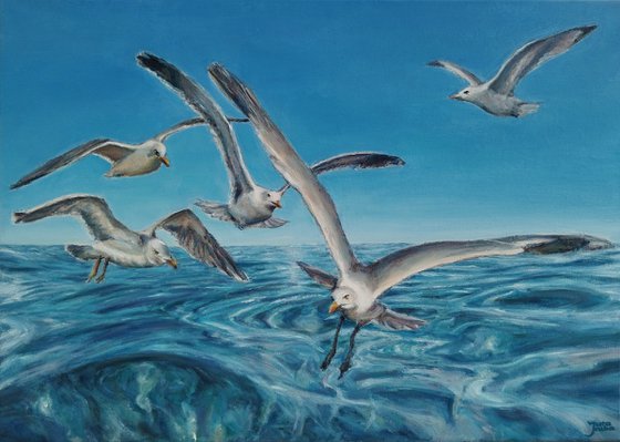 Seascape With Seagulls, Birds Over The Sea