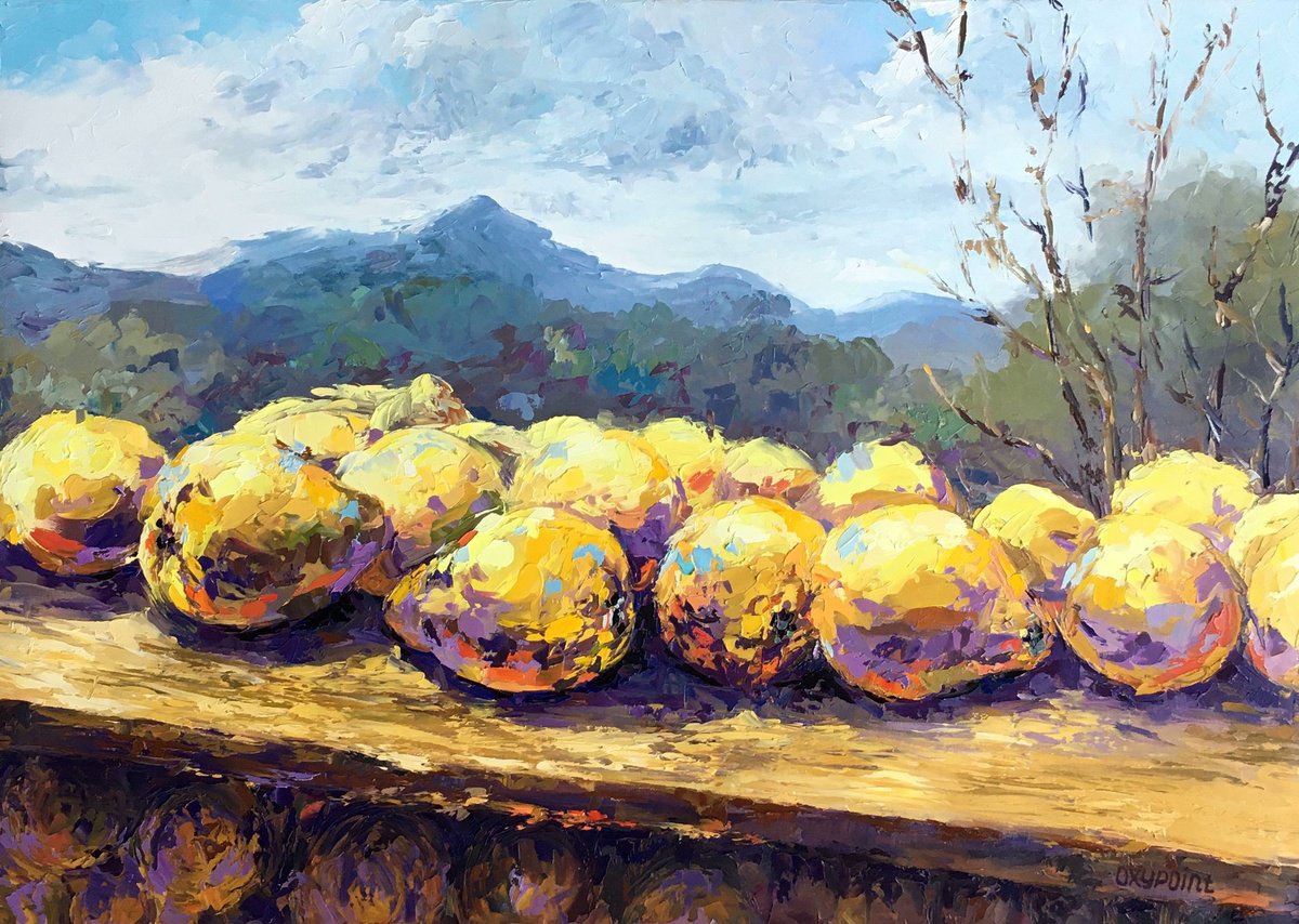 Impressionistic Still Life Oil Painting By Oxypoint, 28 X 20", "A Quince" Oil Painting, Original Artwork