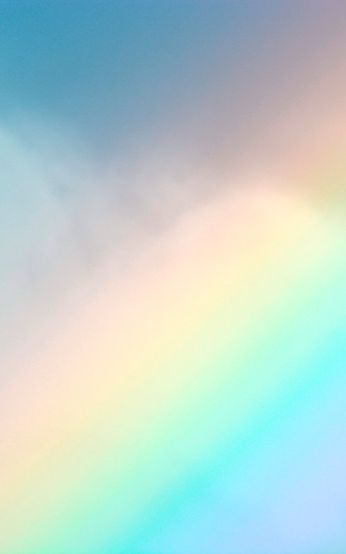 Rainbow by Tal Paz-Fridman