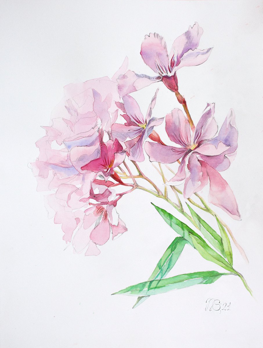 Oleander by Natalia Galnbek