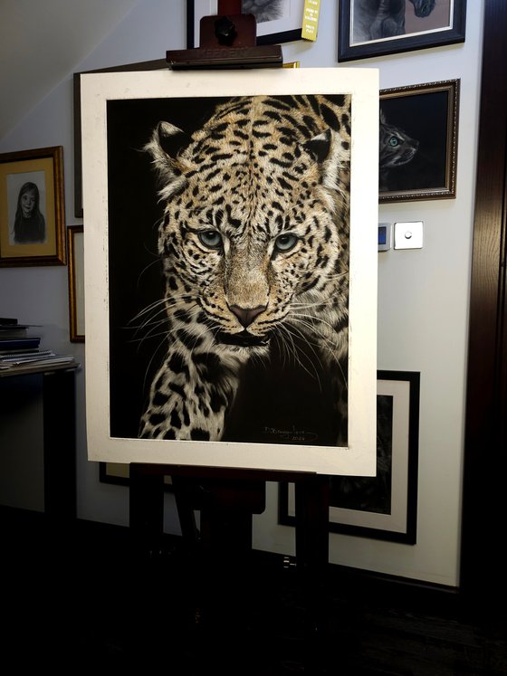 ,,I See Your Soul'' Leopard realism wild animals pastel on pastelmat