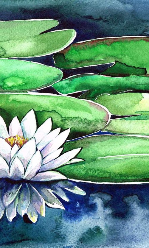 White Waterlily by Diana Aleksanian