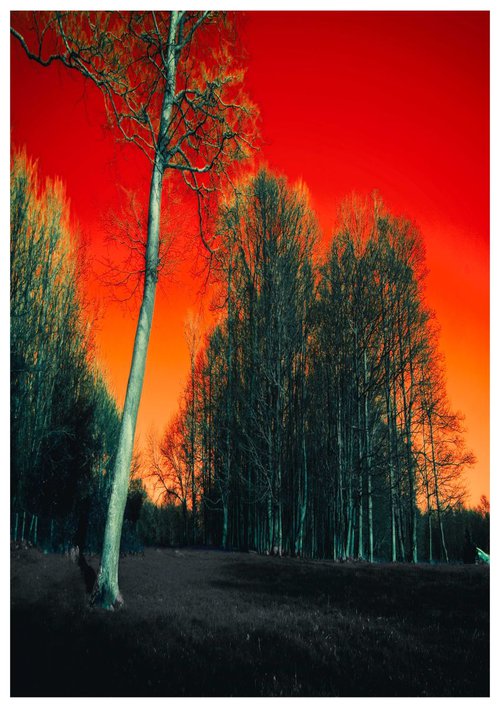 The Red Sky II by Neil Hemsley