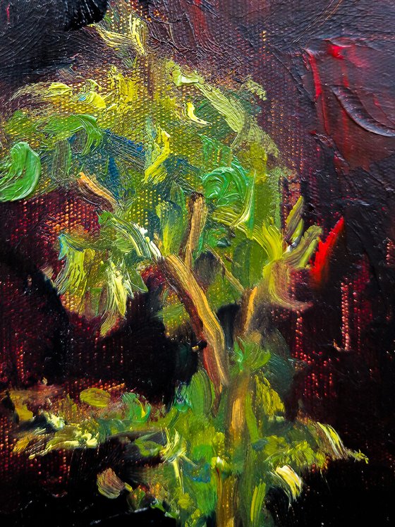 "Youth’s Wild Fever", to Leopold Staff