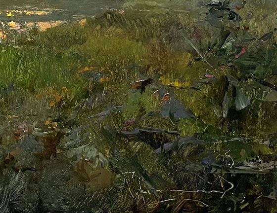 Summer dawn