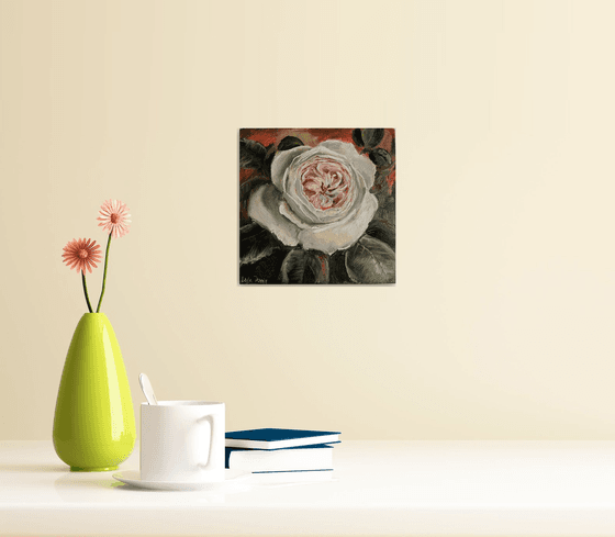 Pink roses still life