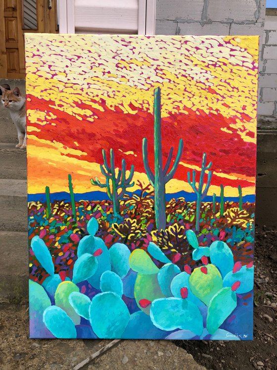 Warm evening in desert