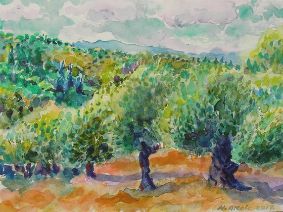 Olive trees of Puglia