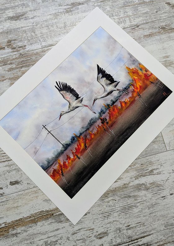 Storks Over Mykolaiv Region