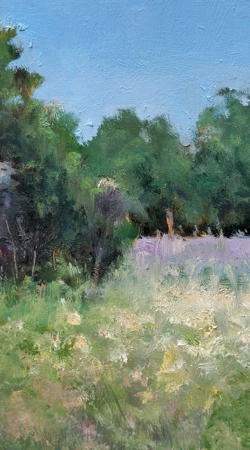 Lavender Field in Provence by Pascal Giroud