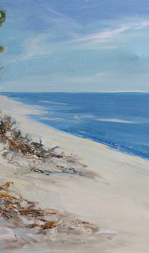 Coastal Harmony by Henadzy Havartsou