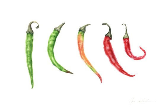 Chili Rainbow