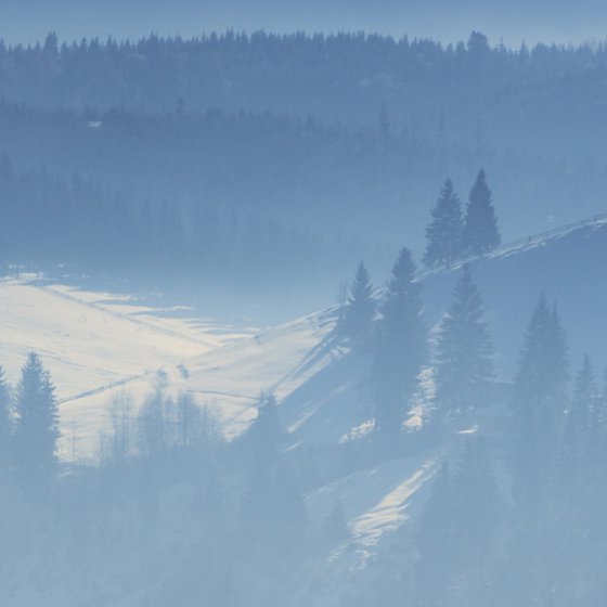 Winter Morning