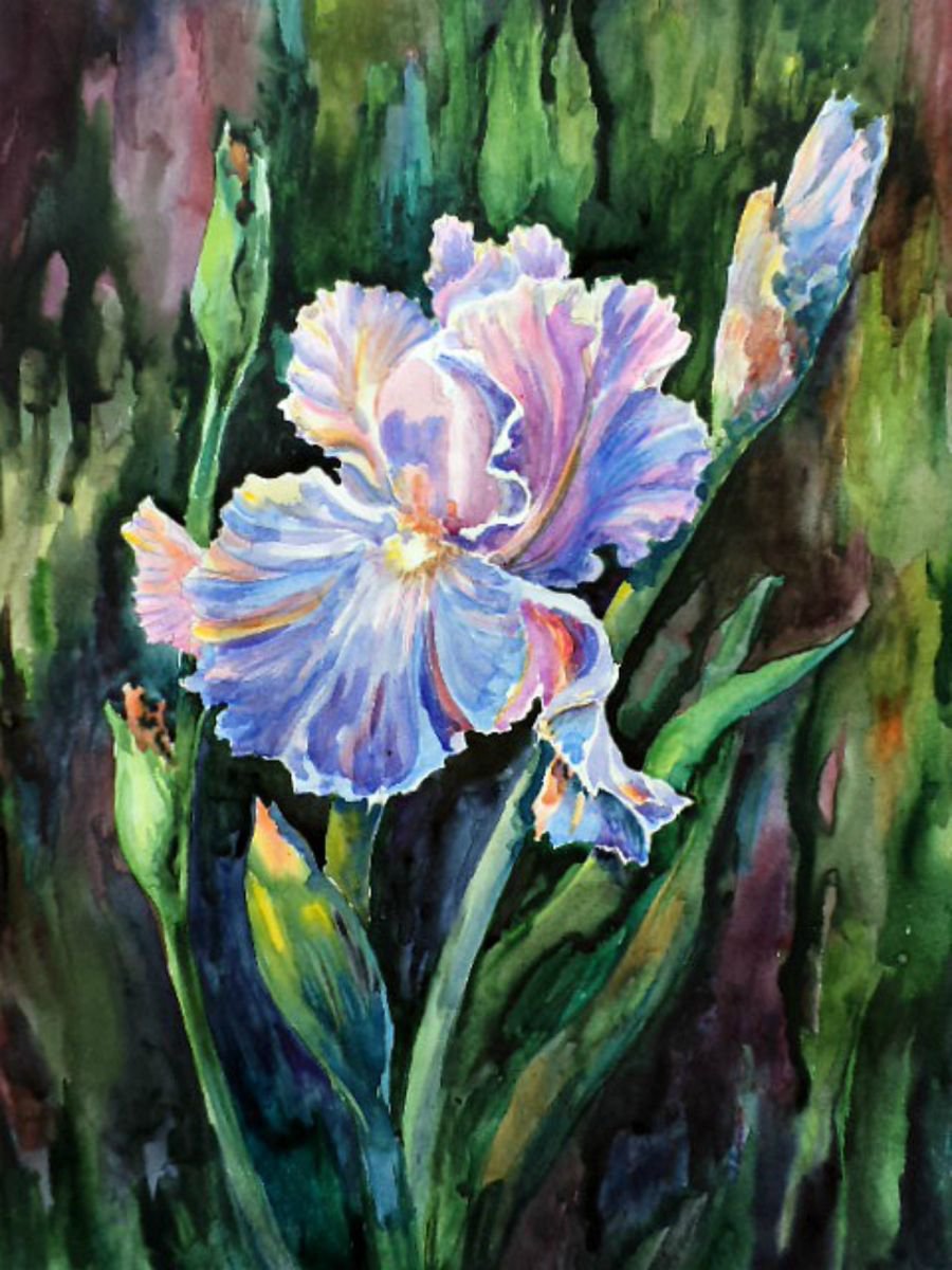Iris by Liubov Ponomareva