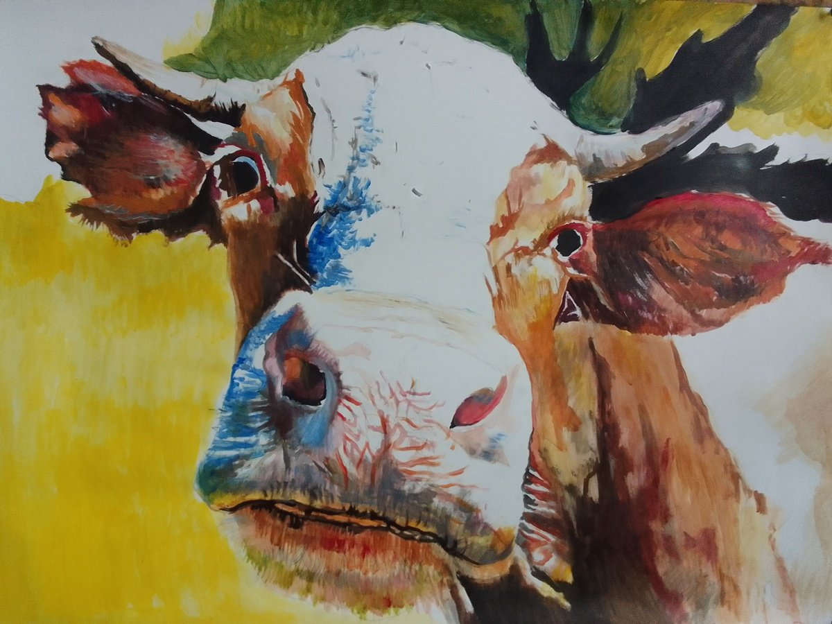 Photorealistic Animal Acrylic Painting By Soso Kumsiashvili, 33 X 24", Cow, Original Artwork