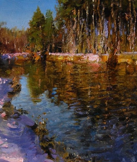 Pines on Vorskla
