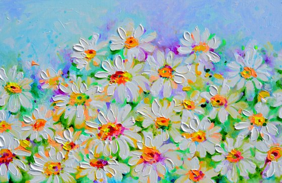 White Daisy Daisies Field