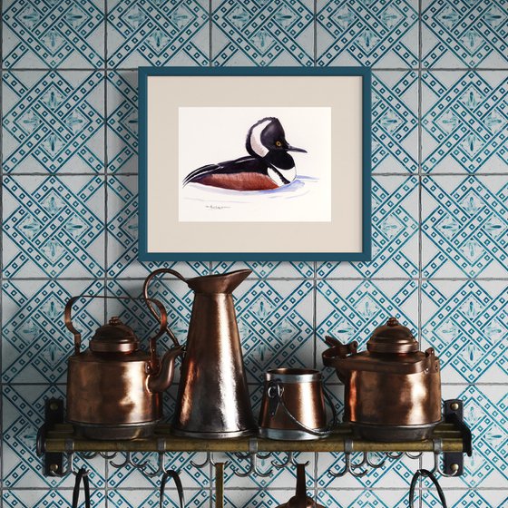 Hooded Merganser Duck