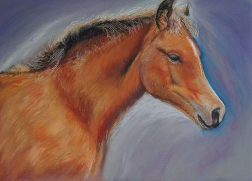 Foal by Kay  Moore