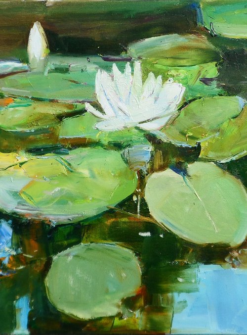 "Water Lilies  " by Yehor Dulin