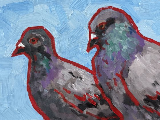 Pigeons couple