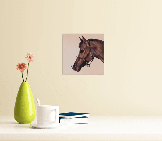 Horse Portrait 80