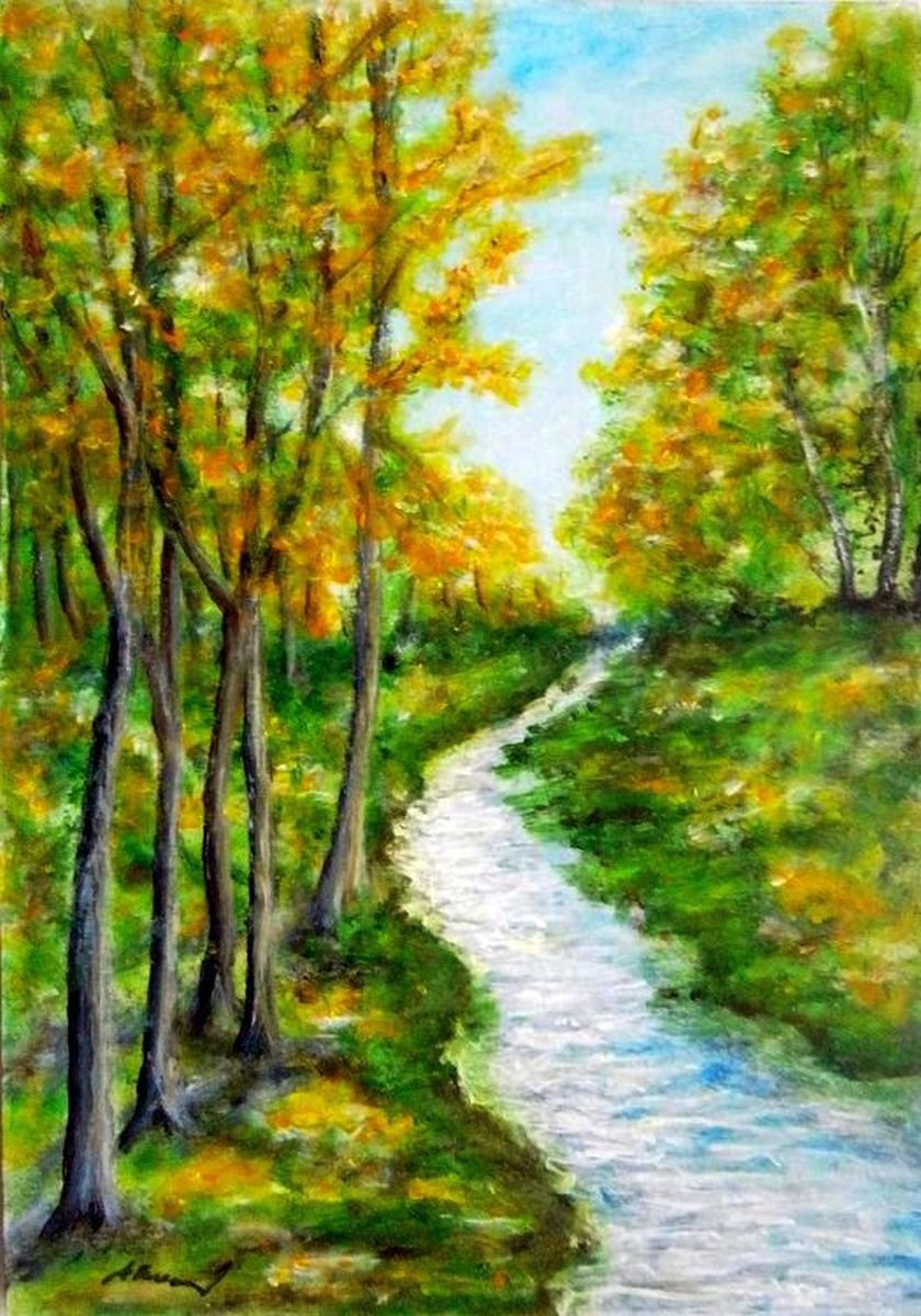 Creek in the forest .. by Emlia Urbankov