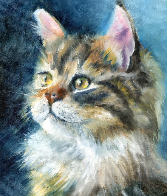 Majestic Longhair Cat