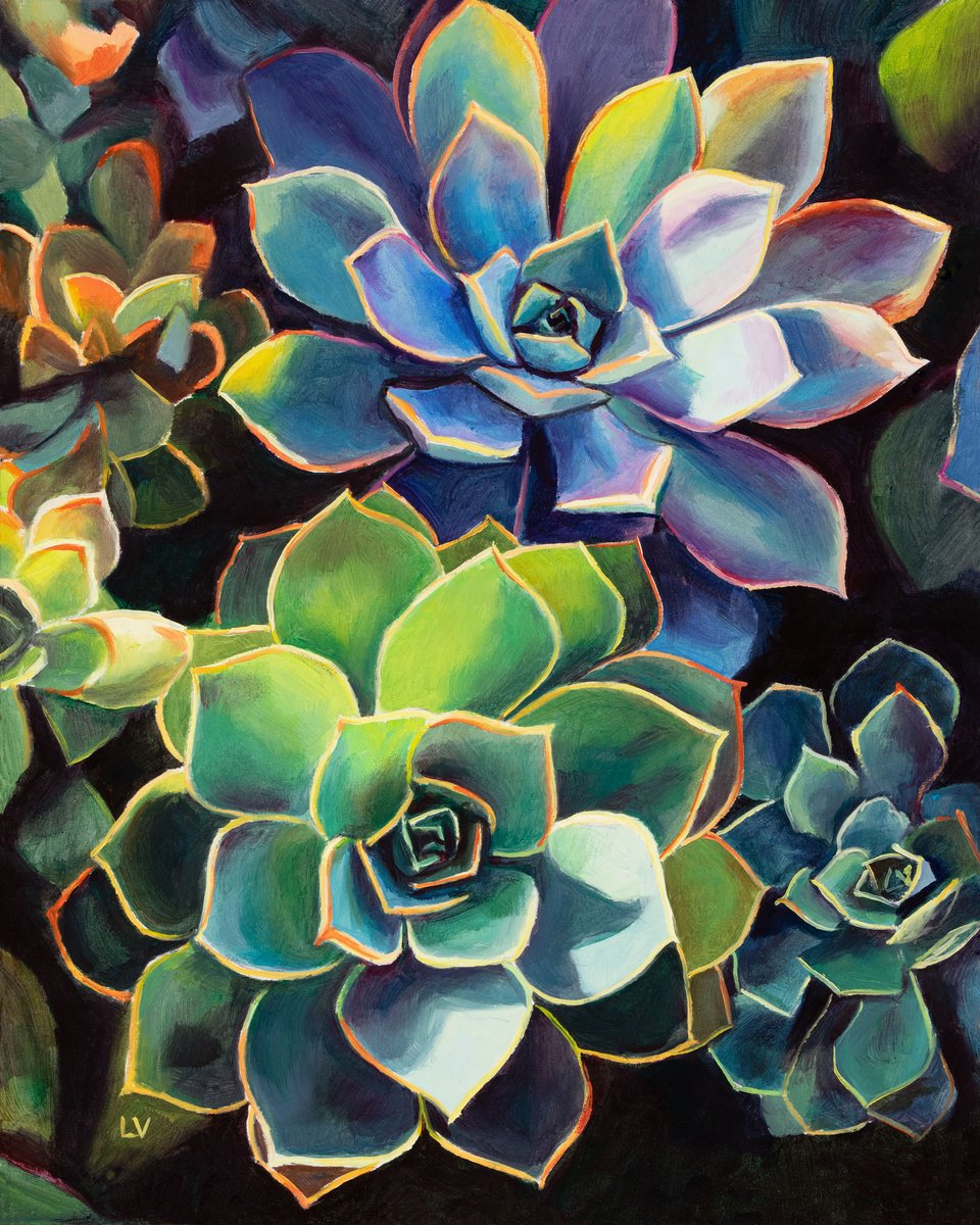 Blue succulent plants in sun by Lucia Verdejo