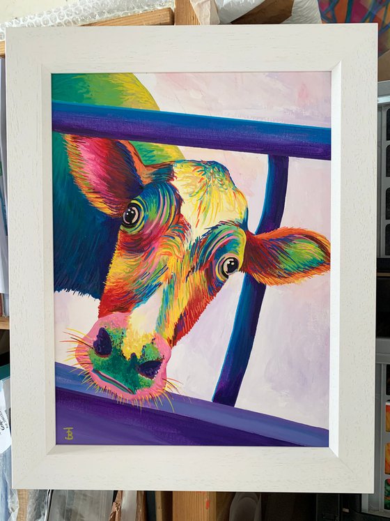 Luna the Rainbow Cow