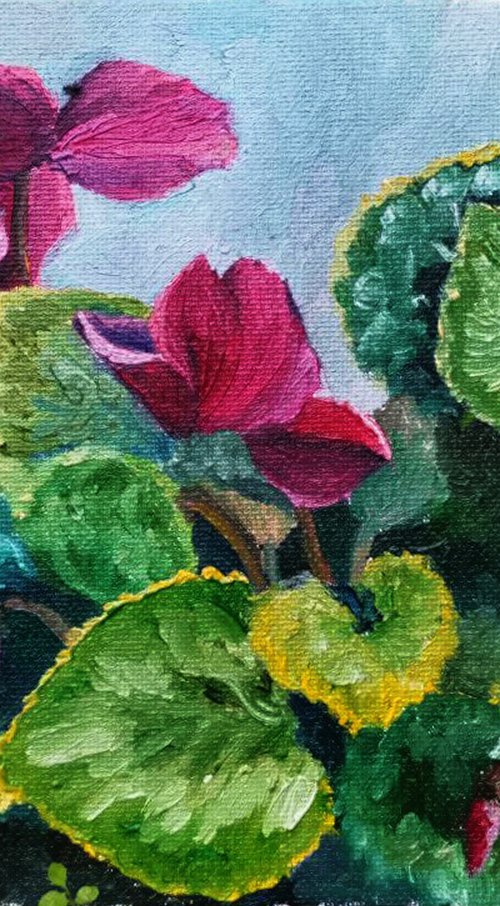 Purple cyclamen. 18x24 cm. Plein-air. Ciclamino viola by Oksana Evteeva