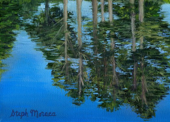 Shingle Creek Reflections